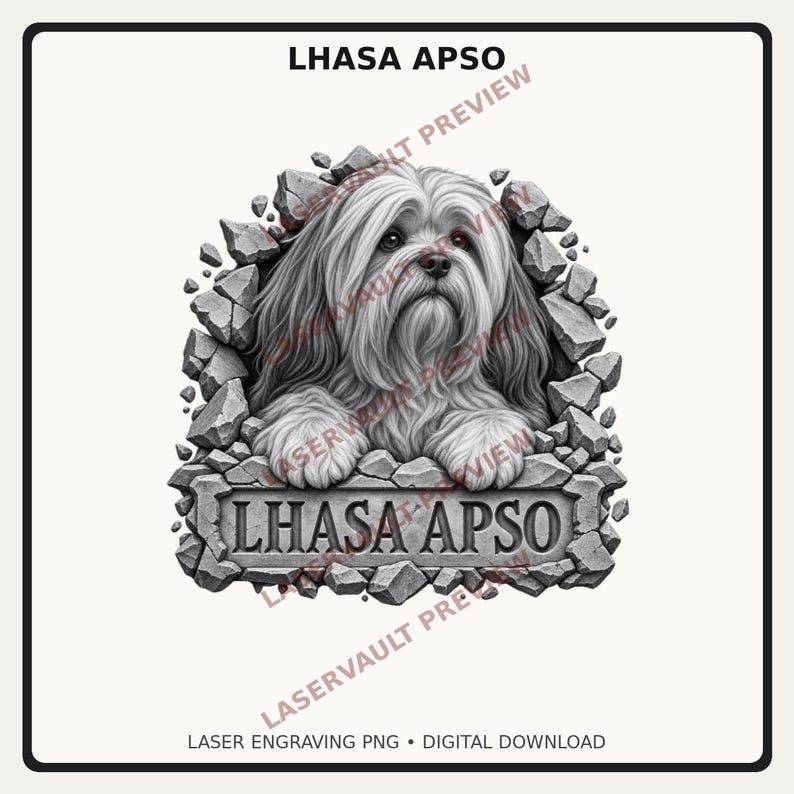 Op de afbeelding: Een zwart-witte grafische illustratie van een Lhasa Apso hond die uit een gebarsten stenen muur tevoorschijn komt. De hond heeft lang, vloeiend haar en bevindt zich boven een stenen plaquette met de tekst LHASA APSO in een vetgedrukt schreeflettertype.