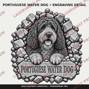 Op de afbeelding: Een grijstinten illustratie van een Portugese waterhond met krullende vacht, die door een grillig gat in een stenen muur kijkt. De hond heeft de tong uit de bek en de poten rustend op een stenen richel met de tekst PORTUGUESE WATER DOG.