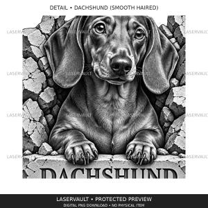 May include: A black and white digital illustration of a smooth-haired dachshund dog peeking through a cracked stone wall. The dog has large, expressive eyes and floppy ears. The word DACHSHUND is printed in bold, capital letters on the stone ledge.