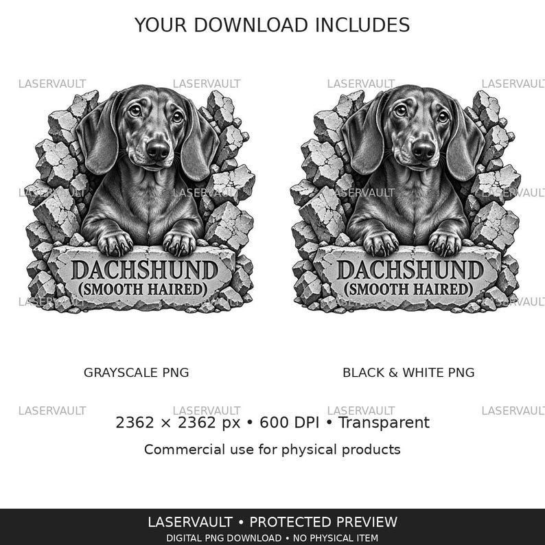 May include: A digital graphic featuring a grayscale illustration of a smooth-haired dachshund dog peering through a cracked stone wall. Below the dog, a stone plaque displays the text DACHSHUND (SMOOTH HAIRED). The image includes file specifications.