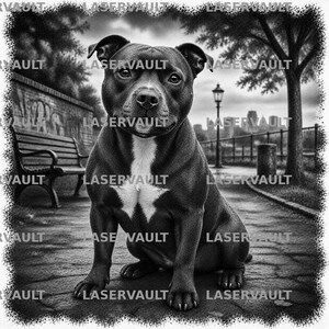 May include: A black and white illustration of a Staffordshire Bull Terrier sitting on a paved path. The dog has a distinct white patch on its chest. The background features a park setting with a wooden bench, a street lamp, and trees.