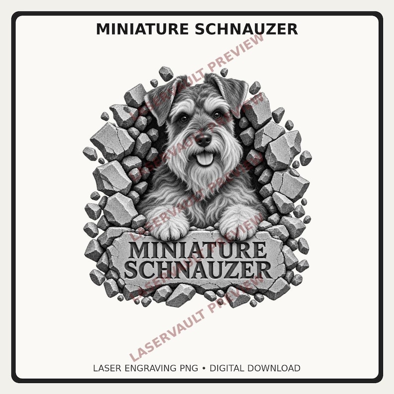 Op de afbeelding: Een zwart-witte digitale illustratie van een Dwergschnauzer die door een gat in een stenen muur kijkt. De hond heeft een vrolijke uitdrukking met de tong uit de bek. Onder de hond bevindt zich een stenen plaquette met de tekst MINIATURE SCHNAUZER.