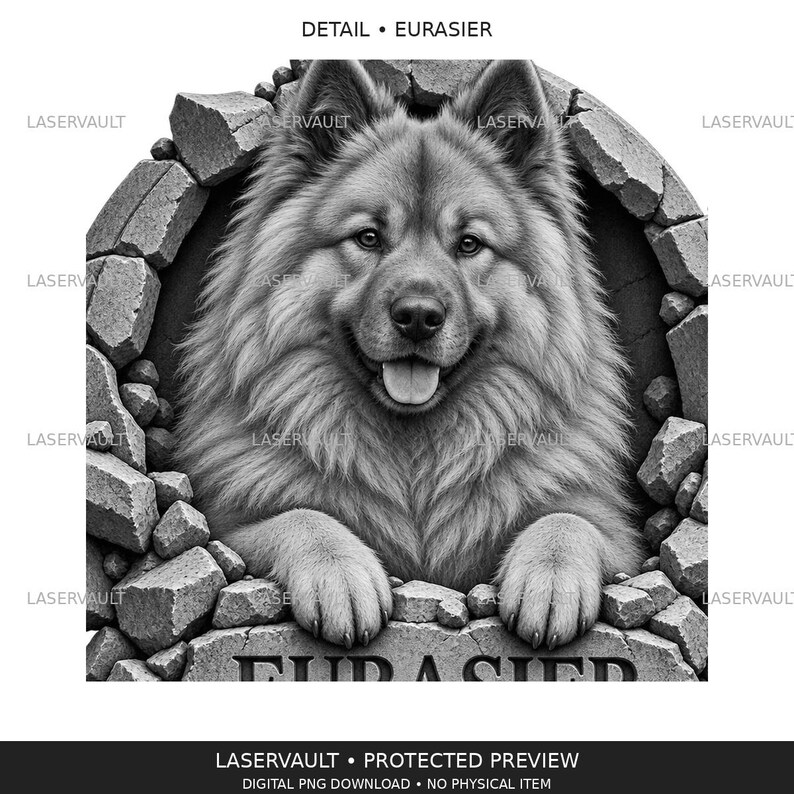May include: A black and white digital illustration of a fluffy Eurasier dog peering through a circular hole in a brick wall. The dog has a friendly expression with its tongue slightly out. The text "DETAIL &bull; EURASIER" appears at the top.