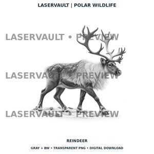 Op de afbeelding: Een zwart-witte digitale illustratie van een rendier met een groot gewei, staand in profiel. De afbeelding bevat de tekst LASERVAULT | POLAR WILDLIFE, LASERVAULT &bull; PREVIEW en REINDEER GRAY + BW &bull; TRANSPARENT PNG &bull; DIGITAL DOWNLOAD.