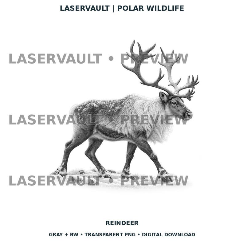 Op de afbeelding: Een zwart-witte digitale illustratie van een rendier met een groot gewei, staand in profiel. De afbeelding bevat de tekst LASERVAULT | POLAR WILDLIFE, LASERVAULT &bull; PREVIEW en REINDEER GRAY + BW &bull; TRANSPARENT PNG &bull; DIGITAL DOWNLOAD.