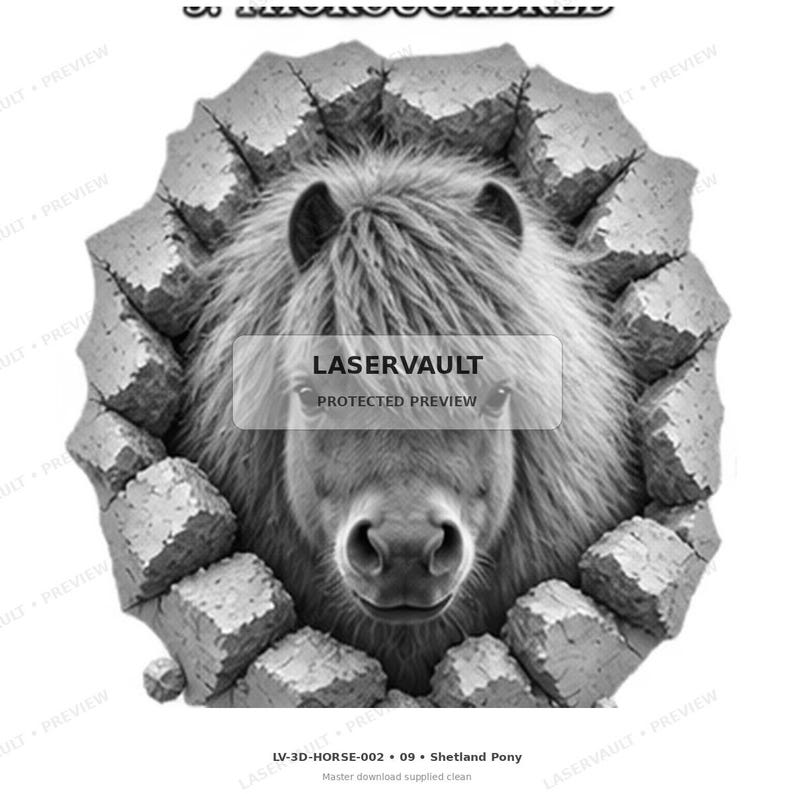 May include: A black and white graphic illustration of a Shetland pony head emerging from a cracked stone wall. The pony has a thick, shaggy mane and forward-facing ears. The text LASERVAULT PROTECTED PREVIEW is centred over the pony's face.