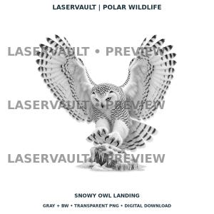 Op de afbeelding: Een zwart-witte digitale illustratie van een sneeuwuil met gespreide vleugels, landend op een ijzige rots. De tekst LASERVAULT | POLAR WILDLIFE en SNOWY OWL LANDING staat bij de afbeelding, die is gemarkeerd met LASERVAULT PREVIEW.