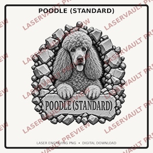 K&ouml;nnte beinhalten: Eine schwarz-wei&szlig;e grafische Illustration eines Standardpudels mit lockigem Fell, der seine Pfoten auf eine Steinplatte mit der Aufschrift POODLE (STANDARD) st&uuml;tzt, umgeben von einem Rand aus gezackten, texturierten grauen Felsen.