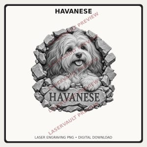 May include: A black and white graphic illustration of a Havanese dog peering through a hole in a stone wall. The dog has long, wavy fur and a happy expression with its tongue out. Below the dog, the word HAVANESE is engraved on a stone slab.