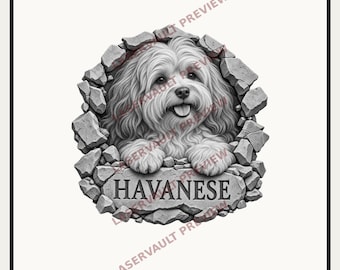 May include: A black and white graphic illustration of a Havanese dog peering through a hole in a stone wall. The dog has long, wavy fur and a happy expression with its tongue out. Below the dog, the word HAVANESE is engraved on a stone slab.