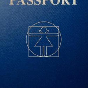 May include: A blue book titled "THE PASSPORT" with silver lettering. The cover features a geometric illustration of a person within a circle and square. The author's name, CHASE HUGHES, is printed at the bottom.
