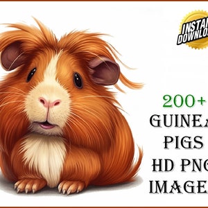 Guinea Pigs Clip Art Designs HD PNG Image Bundle - For T-Shirts, Branding, Tattoos, Greeting Cards Sublimation POD Animal | 200 Images