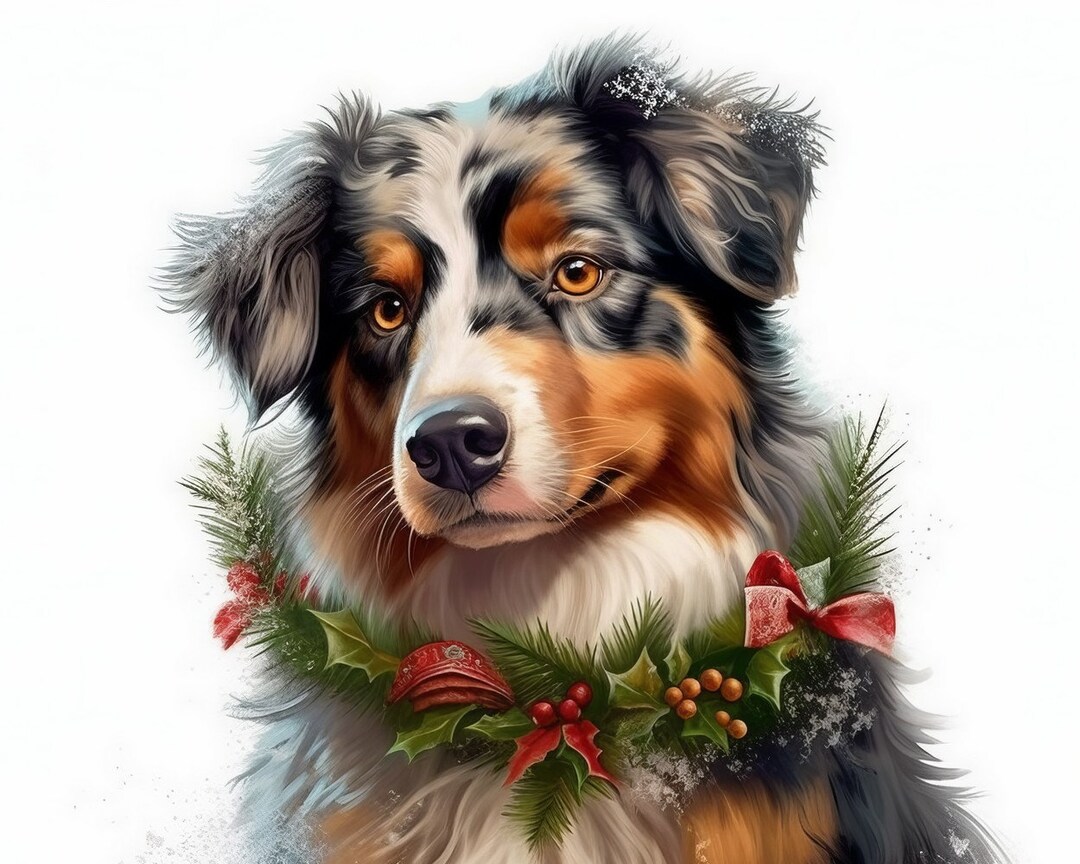 Unleash the Holiday Spirit Australian Shepherds Christmas Dogs PNG 