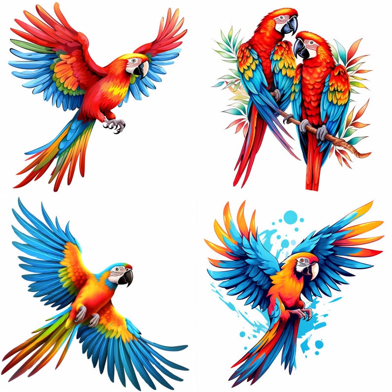 Photo inspiration: Gallery Detail: Exquisite Macaw Birds Art Sublimation Bundle 100 Png Images At