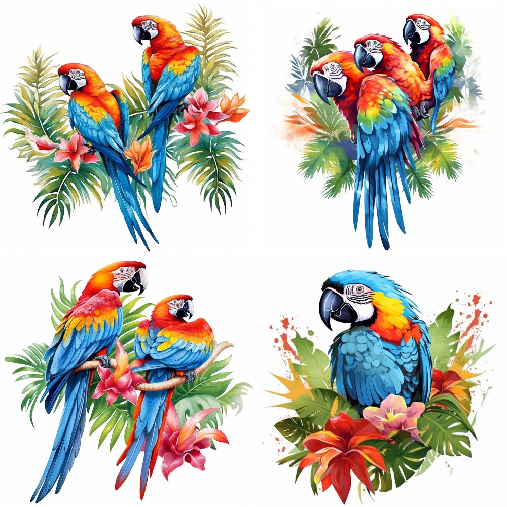Picture Idea: Exquisite Macaw Birds Art Sublimation Bundle 100 Png Images At