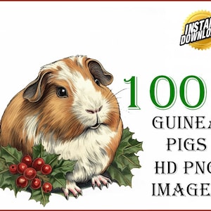Christmas Guinea Pigs Clip Art Designs HD PNG Image Bundle - For T-Shirts, Branding, Greeting Card Sublimation POD Animal | 100+ Xmas Images