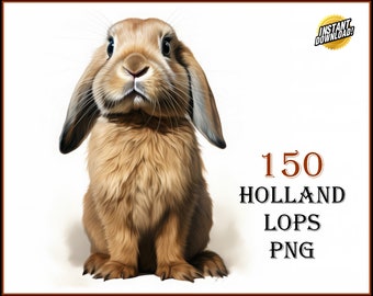 150 Holland Lops Clip Art Designs HD PNG Image Bundle - For T-Shirts, Branding, Tattoos, Greeting Cards Sublimation POD Animal