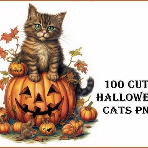 100 Original Colorful Halloween Cats Clip Art Designs HD PNG Image Bundle - For T-Shirts, Branding, Tattoos, Greeting Cards Sublimation