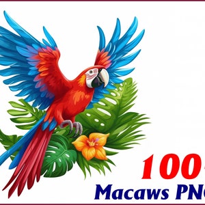 Exquisite Macaw Birds Art Sublimation Bundle: 100+ PNG Images at 6144px | Instant Download & Commercial License - For Tshirts, Prints, POD