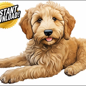 100 Original Cute Colorful Goldendoodle Dogs Clip Art Designs HD PNG Image Bundle - For T-Shirts, Branding, Tattoos, Greeting Cards