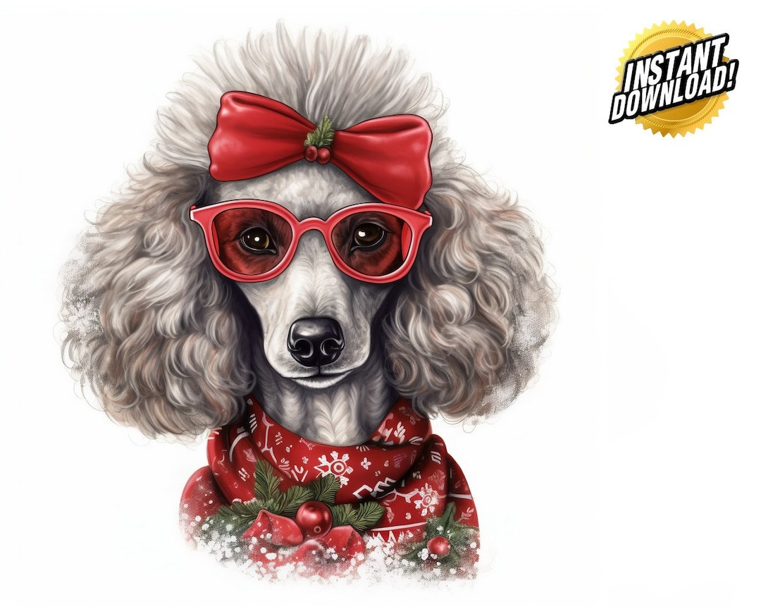 Unleash the Holiday Spirit Poodles Christmas Dogs PNG Bundle. Instant