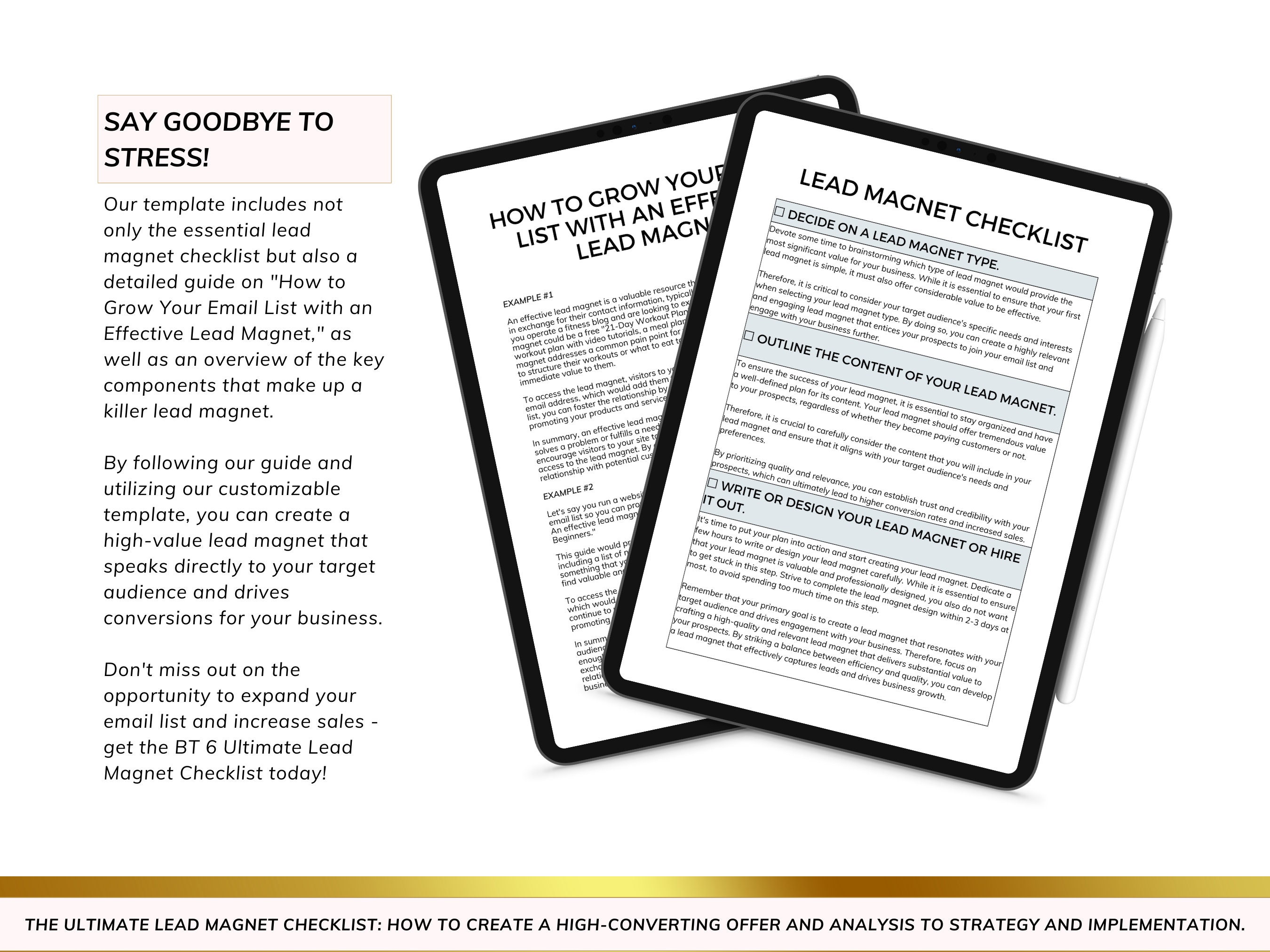 6 Lead Magnet Checklist: How to Create a High-converting Offer Editable ...