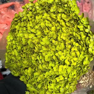 May include: A close-up of a bouquet of dried hydrangea flowers in a vivid, lime green colour. The tightly packed flowers create a dense, textured appearance. The bouquet is wrapped in clear cellophane, with other floral arrangements visible in the background.