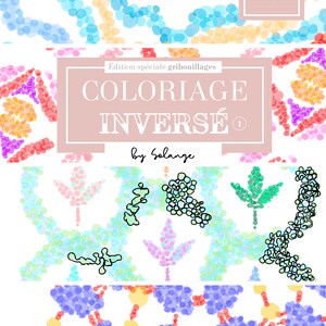 May include: A colouring book with 15 designs featuring a reverse colouring technique. The cover features a pink and white title that reads "Coloriage Inversé" with the text "Édition spéciale gribouillages" above it. The book is by Solange.