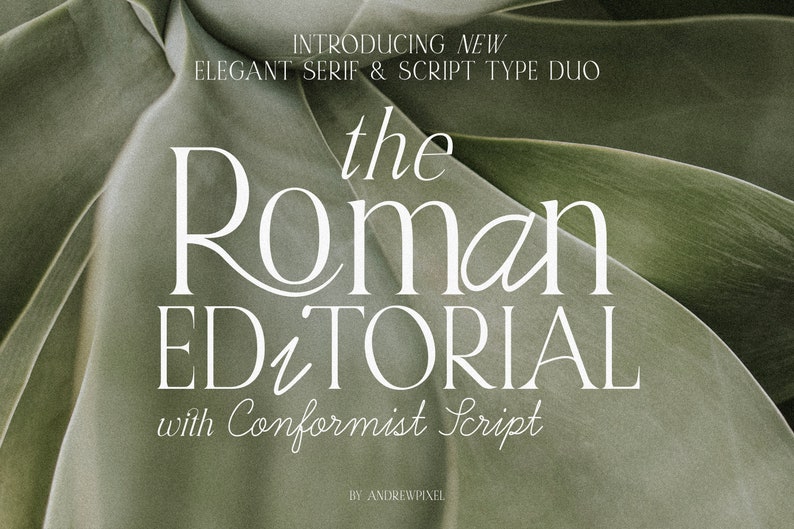 Roman Script Designs Roman Editorial and Aesthetic Script Font | Modern Font Pair | Modern ...