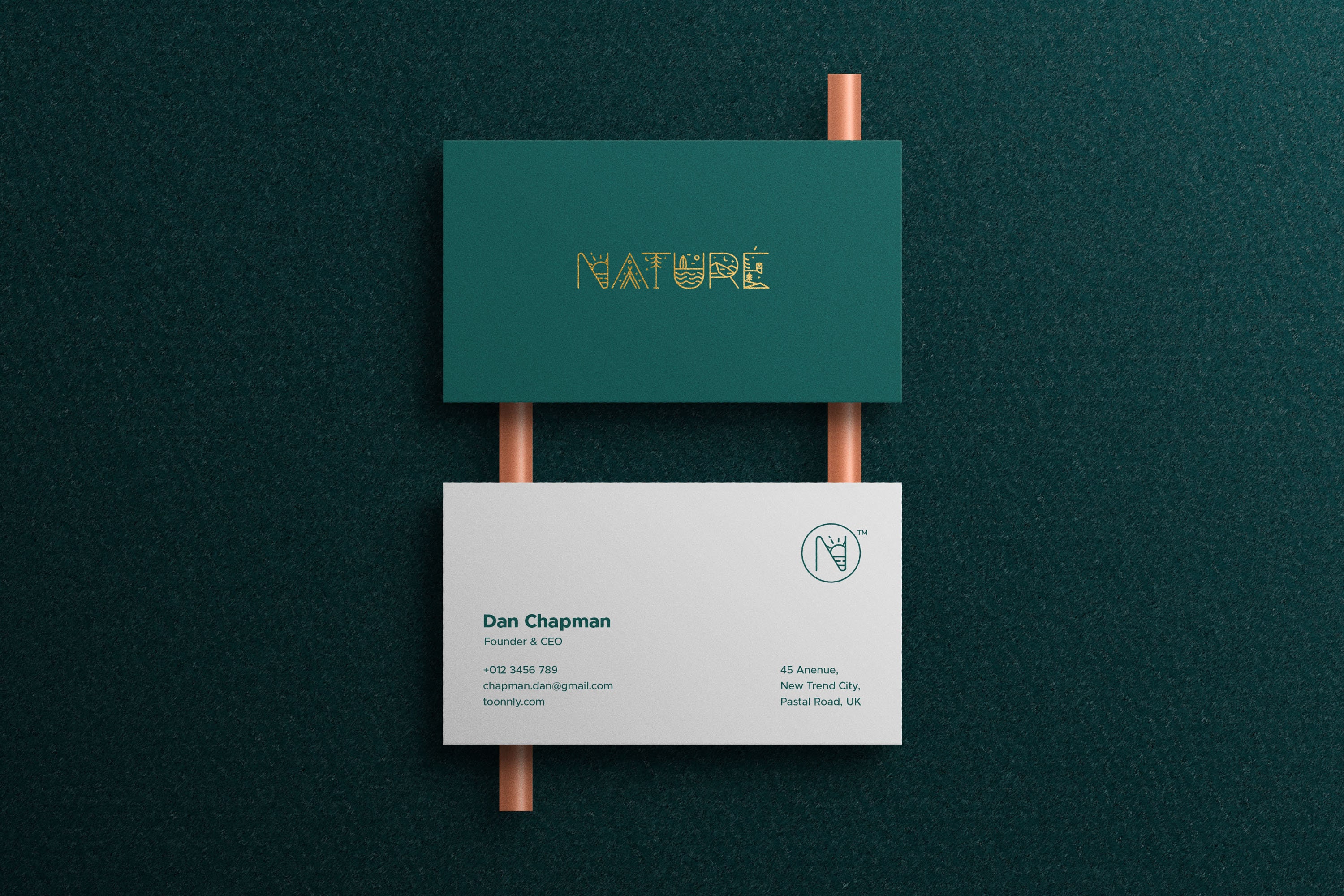 Wild Dreams Adventure Display Font | Monoline Nature Font - Etsy