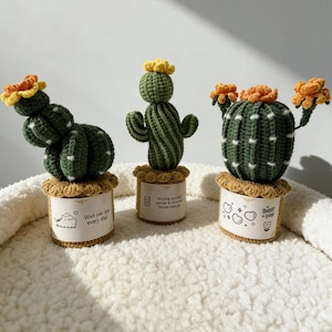 Personalized Handmade Crochet Cactus Desk Decor Gift Custom Message Tag Plant Pot Gift Teacher Mother Encourage Emotional Support Forever