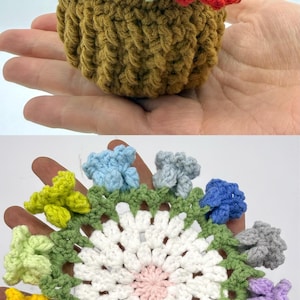 May include: A small, brown, crocheted pot filled with multi-colored yarn flowers in shades of red, orange, yellow, green, blue, and purple. Below, a circular, white, crocheted doily features a pink center and a green border with small flowers.