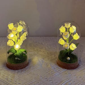 Crochet Handmade Glass Potted Plant Light Lamp Lily of the Valley Finished Flower Desk Decoration Flash Night Stand Flower Forever Gift