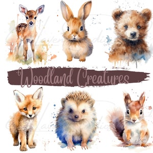 Watercolor Woodland Creature Clipart, Sublimation, Cute Animals, Animal PNG, Nursery, Wall Art, Digital Download, Commercial Use