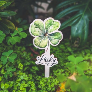 Lucky Clover Tag - Wooden Plant Tag with a Greeting Text - Plant Marker, Flower Stick, Garden stakes, Garden label