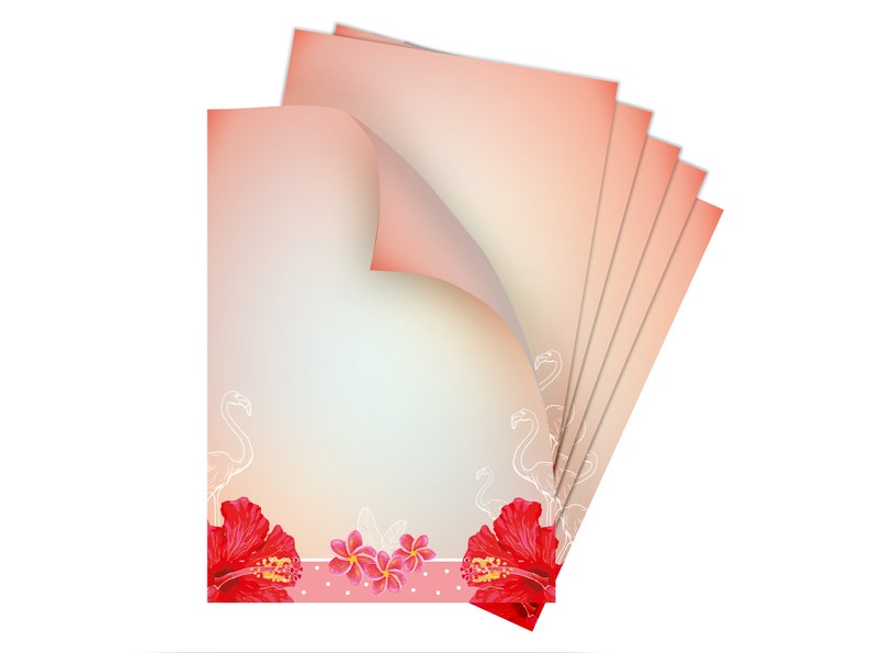 Briefpapier-Set A4 Briefbögen mit Umschlag Tropen Blumen Geschenk Druckerpapier Kolibri Einladungen Briefpost Urkunde Hochzeit Frühling bunt 10  Blätter