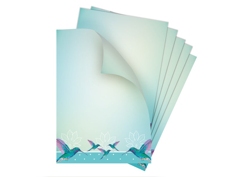 Briefpapier-Set A4 Briefbögen mit Umschlag Tropen Blumen Geschenk Druckerpapier Kolibri Einladungen Briefpost Urkunde Hochzeit Frühling bunt 10   Blätter