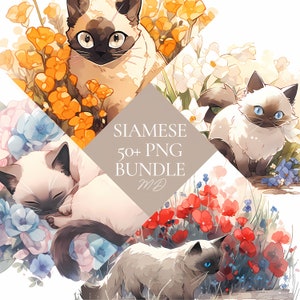 Siamese Cat Clipart Bundle 50+ PNG, Floral Clipart,  Cute Cat Clipart, kitten Clipart, cat art, Commercial Use, Instant Download
