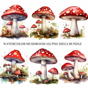 Acuarela Setas Clipart 175 Mega Bundle, arte forestal linda naturaleza Setas clip art formato PNG descarga instantánea para uso comercial