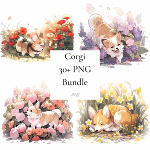 Corgi Dog Clipart bundel 30+ PNG digitale download, Corgi kunstbundel, Hond in de natuur, schattige hond kunst, Commercieel Gebruik, Instant download