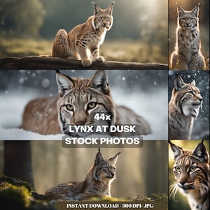 Lynx Photography Stock Photos cinematic, wildlife, lynx, Big Cat, for home decor, wall art, posters, game pad, canvas, wallpaper
