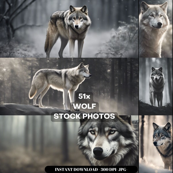 Wolf Photography Stock Photos cinematic, wildlife, wolf, for home decor, wall art, posters, game pad, canvas, wolves phone wallpaper