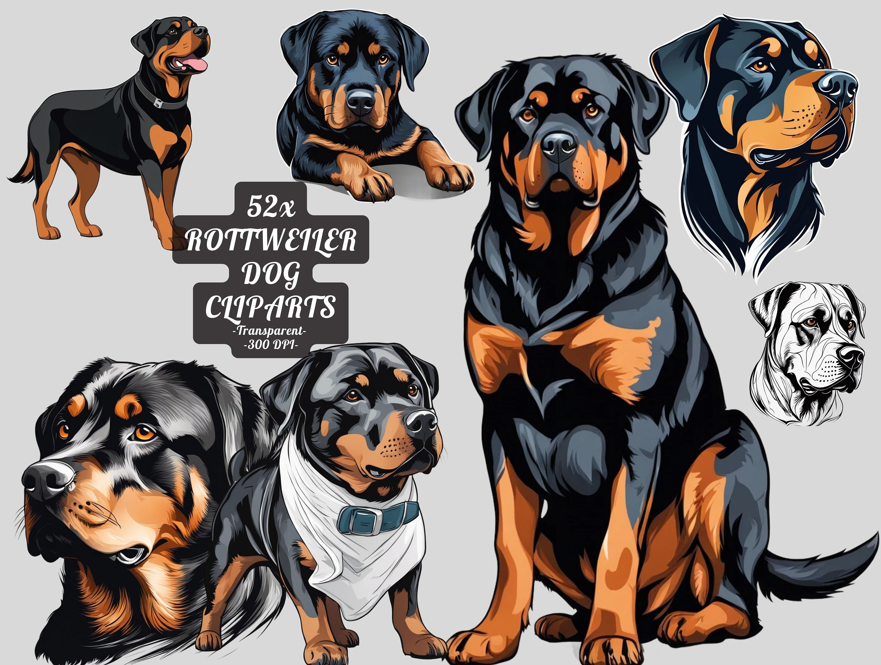 Rottweiler Clipart Png Dog Clipart Printable Rottweiler Head ...