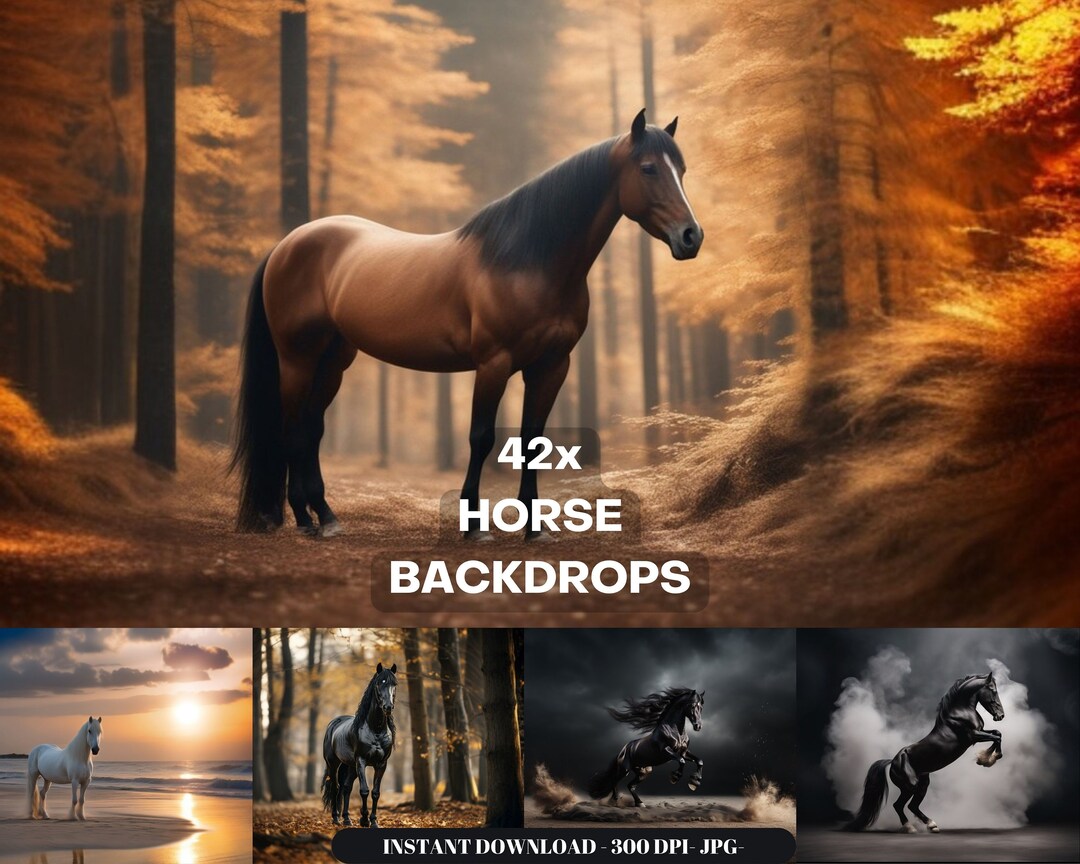 Horse Maternity Wedding Portrait Digital Backdrop, Horse Autumn Beach