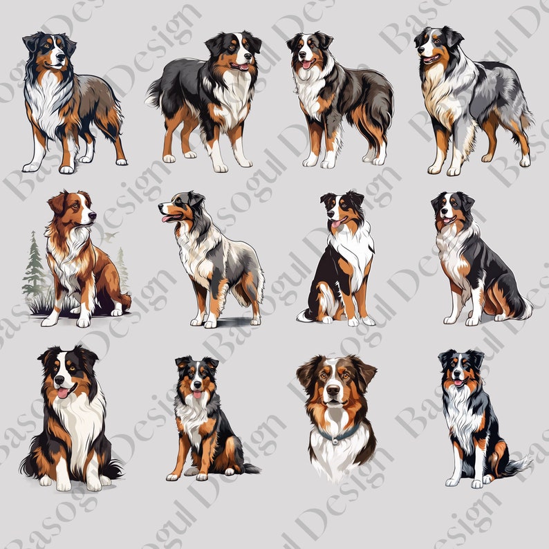 Australian Shepherd Clipart Png Dog Clipart Printable - Etsy