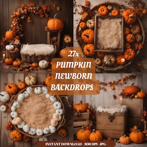 Pumpkin newborn digital backdrop: &quot;AUTUMN NEWBORN BACKDROP&quot; baby boy girl autumn fall boho fur pumpkin Background bundle newborn prop