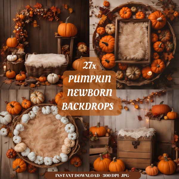 Pumpkin newborn digital backdrop: "AUTUMN NEWBORN BACKDROP" baby boy girl autumn fall boho fur pumpkin Background bundle newborn prop