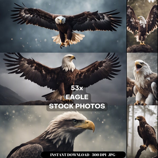 Eagle Photography Stock Photos cinematic, wildlife, bird, eagle, for home decor, wall art, posters, game pad, canvas, wallpaper