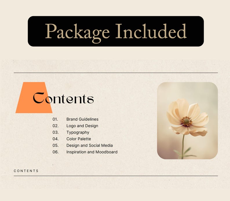May include: A graphic design package includes brand guidelines, logo and design, typography, color palette, design and social media, and inspiration and moodboard.
