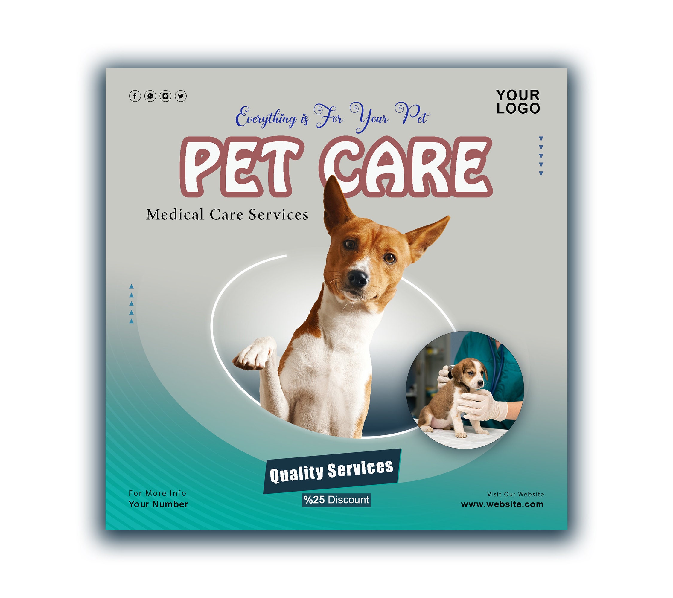 Pet Care After Hours Pet Hospital Near Me Medical Centre 24 Hour